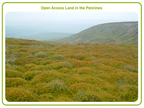 Open Access Land